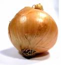 Single yellow onion