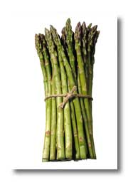 Bundle of asparagus spears